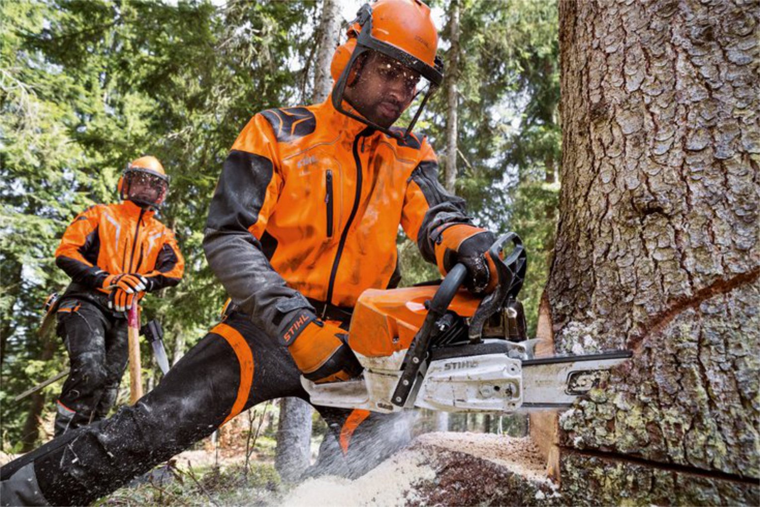Zwei Waldarbeiter in Schutzkleidung und Helmen sägen mit einer Motorsäge einen Baum im Wald.