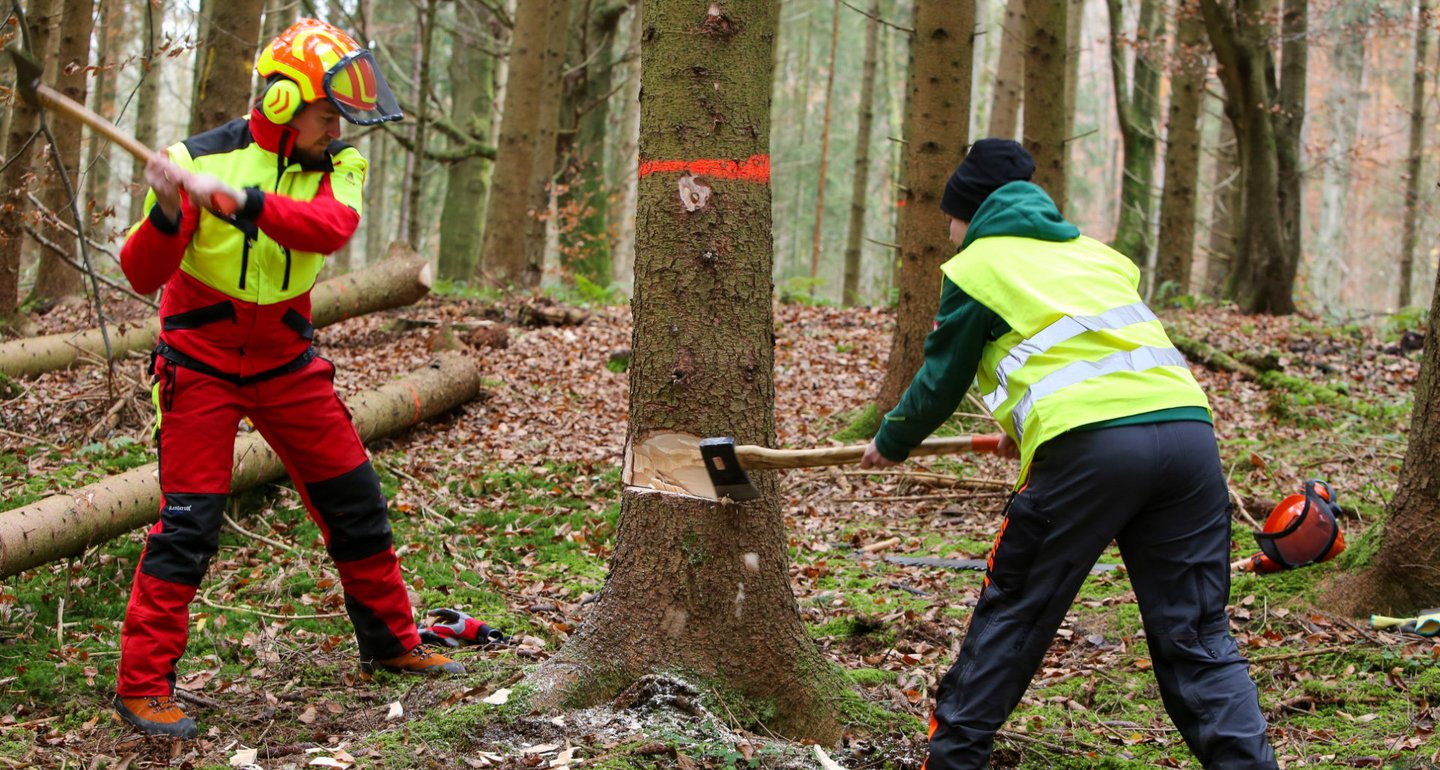 Zwei Personen arbeiten im Wald, um einen Baum zu fällen. Eine schlägt mit einer Axt in den Baum, die andere hält den Baum mit einem Spalthammer. Beide tragen Schutzkleidung und Helm.