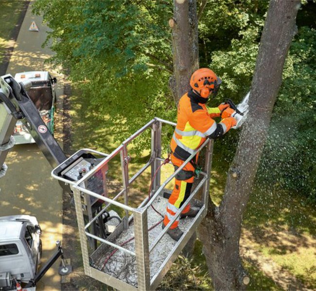 Ein Arbeiter in Schutzkleidung und Helm sägt mit einer Motorsäge einen Baum in großer Höhe aus einem Hebekorb eines Arbeitsfahrzeugs.