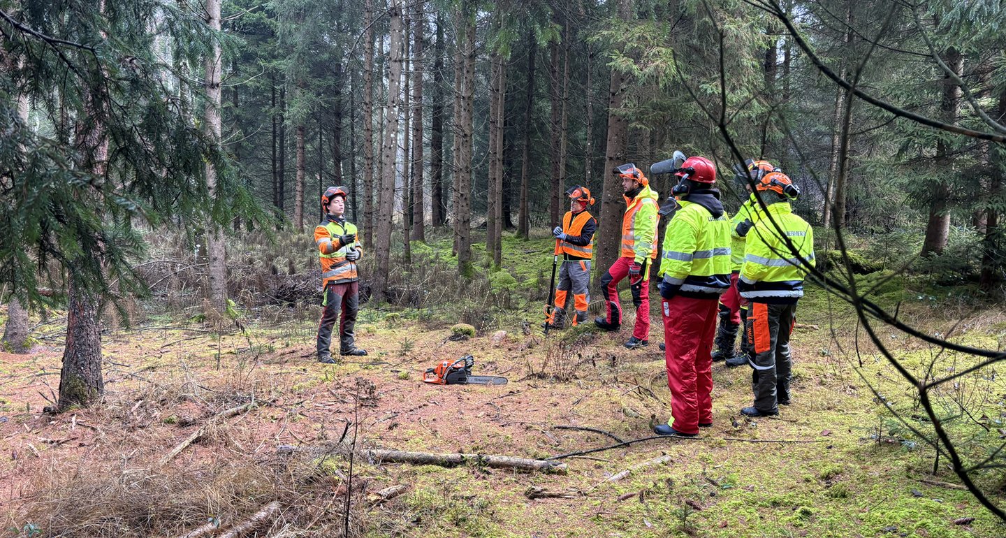 Ein Mann in Forst-Arbeitskleidung spricht zu einer Gruppe, ebenfalls in Arbeitskleidung, im Wald. In der Mitte steht eine Kettensäge auf dem Waldboden.