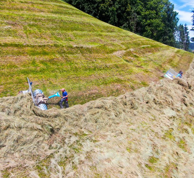 Zwei Personen arbeiten auf einer großen, schrägen Wiese, die mit Heuballen bedeckt ist. Sie verteilen oder bearbeiten das getrocknete Gras in einem landwirtschaftlichen Gelände mit grüner Umgebung.