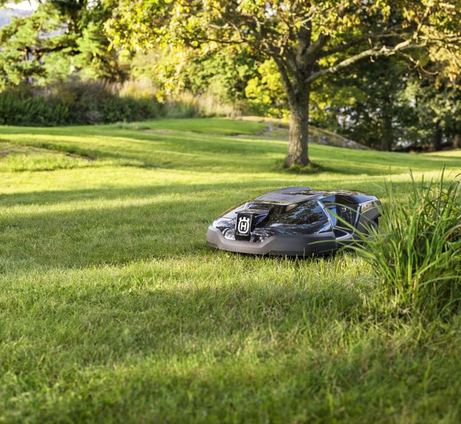 Ein automatischer Mähroboter mäht selbstständig einen gepflegten Rasen unter einem Baum in einer sonnigen Gartenlandschaft.
